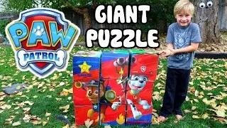 PAW PATROL Activity 
