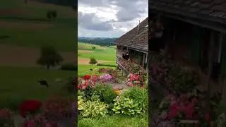 Hello from Emmental #shorts #youtubeshorts