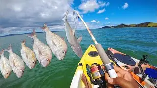 Successful Kayak Fishing in Auckland - Some Good Snaps