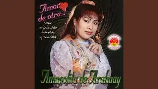 Si No Estás