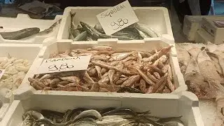 Venice Fish Market