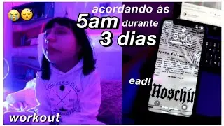 acordando às 5 da manhã por três dias !!!