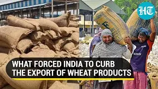 Modi govt cracks down on violators, restricts export of wheat-made products | Key details