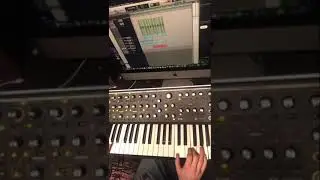 Softube Model 84 VST Funk Demo