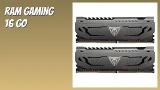 AVIS (2026) : RAM Gaming 16 Go. D&Eacute;TAILS