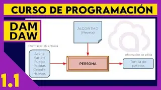 Introducción a la programación y los algoritmos  ☕ DAM - DAW
