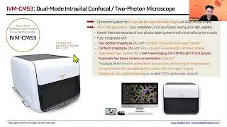 (EN) Real-time Intravital Microscopy for In Vivo Cellular Imaging of Internal Organs with CUHK