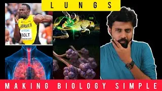 Lungs - Life Processes |CBSE Class 10 Biology|5 Minute Teaching|Aurora Studio|