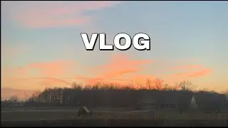 January 11 Vlog | homework, basketball game, and food!