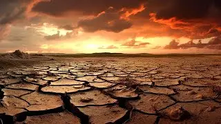 Free System Projekt - Desolate Landscape