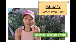5 Things to Do in January to Prepare Your Spring Garden | Houston Texas Gardening