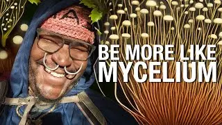 How To Be More Like MYCELIUM + The Epigenetics of Lack Mentality
