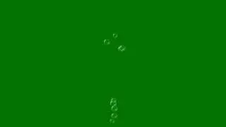 Bulles d'eau venant du fond ecran vert Free green screen