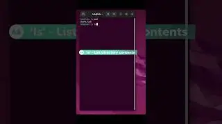 Basic Terminal Commands to Navigate Ubuntu
