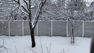 #2021Snow #Snowview