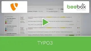 Wordbee Beebox for TYPO3