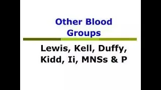 Overview of minor blood group systems like Kell, Duffy, Kidd, Diego, and MNS6, Lewis
