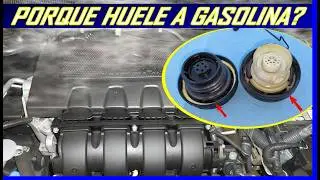Por que el Auto huele a gasolina? las razones principales