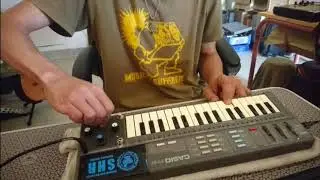 CASIO PT87 Mod - Shieldrum Records