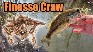 Finesse Craw (1.75