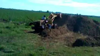 amontonando escremento de pollos