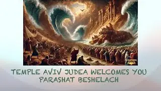 Parashat Beshalach 5786