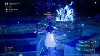Aerith&rsquo;s Planet&rsquo;s Protection