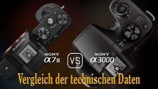 Sony A7S vs. Sony A3000: Ein Vergleich der technischen Daten