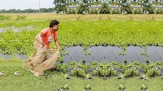 Amazing Cast Net Fishing in Sea - Traditional Village Fishing Video - New Fishing Video