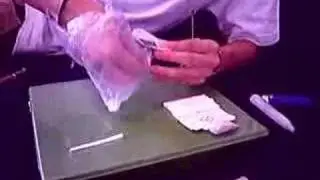 Rolling a Tulip.