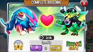 Dragon City: Mr Beast Dragon vs Stokes Twins Dragon [EXCLUSIVE BREEDING] 😱
