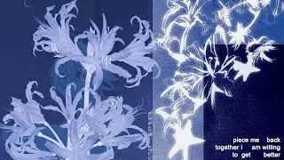 prayboymantis - an endeavour to die or create (breakcore/dnb)