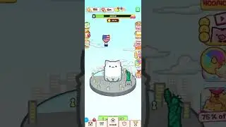 Box Cat Jam 