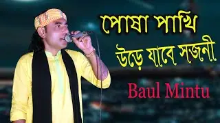 আমার পোষা পাখী । Amar Posa Paki Ure jabe Sujoni । Baul Mintu । Rohan Gaibandha