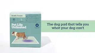 Your Dog's Daily Health Check