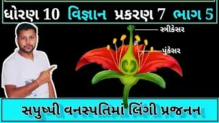 Sexual reproduction in flowering plants | સપુષ્પી વનસ્પતિઓમાં લિંગી પ્રજનન | std 10 science | ch 7