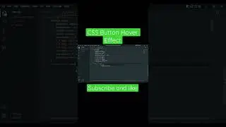 CSS Button Hover Effect 