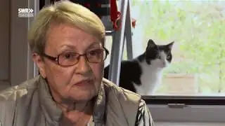 Das geheime Leben der Katzen