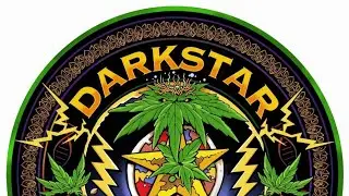 With Blue Star Seed Co , UFO Genetics