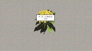 PD Liddle - 'Mary' (Official Audio)