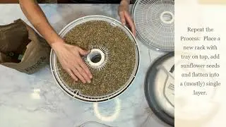 How to Dehydrating Sunflower Seeds