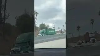 Green Freightliner Cascadia Sleeper Truck