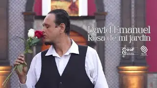 Rosa de mi Jard&iacute;n   David Emanuel