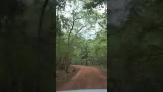 Similipal Tiger Reserve forest road #minivlog #adventure #tigerreserveforest #travel