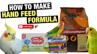 HOW TO MAKE HAND FEED FORMULA FOR BABY BIRDS