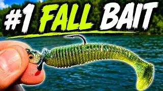Fall Fishing SECRET: Catch More Smallmouth Bass with a Paddletail!