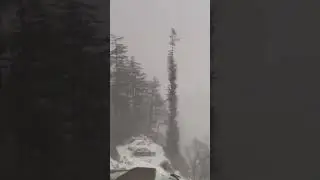 Endless 💞❄️🏔️☃️#kufrisnowfall #kufrishimla #romanticsongs #winter #music