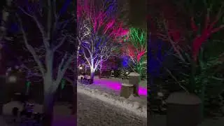 Winter night of Ottawa! #canada #2022 #winter #snow #ottawa