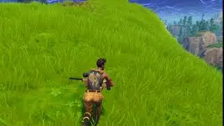 Fortnite Snapshot