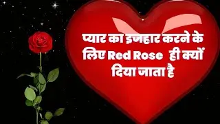 गुलाब को प्यार का प्रतीक क्यों माना जाता है| Why Rose is Considered a Symbol of Love ❤️
